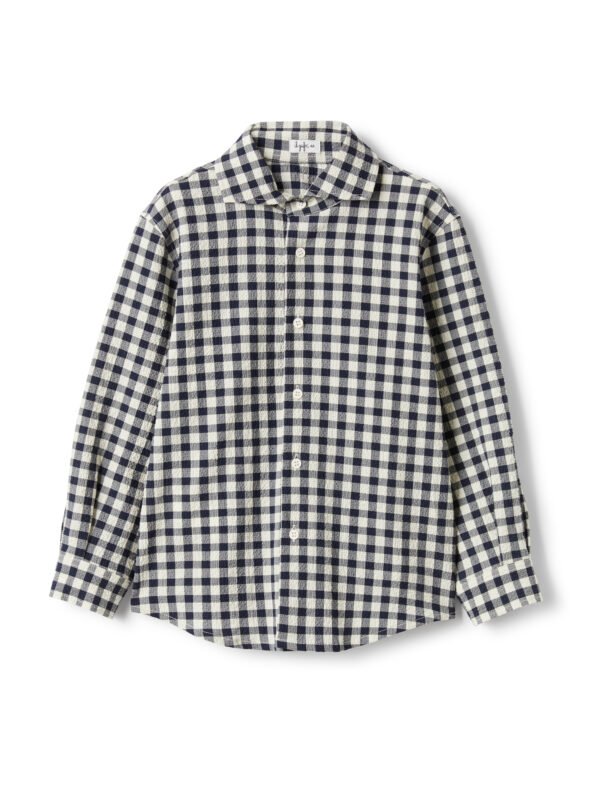 P25CL252C3161-497-497-01